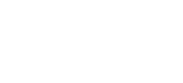 The Digital Agency